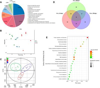 TM7 (Saccharibacteria) regulates the synthesis of linolelaidic acid and tricosanoic acid, and alters the key metabolites in diapause Clanis bilineata tsingtauica